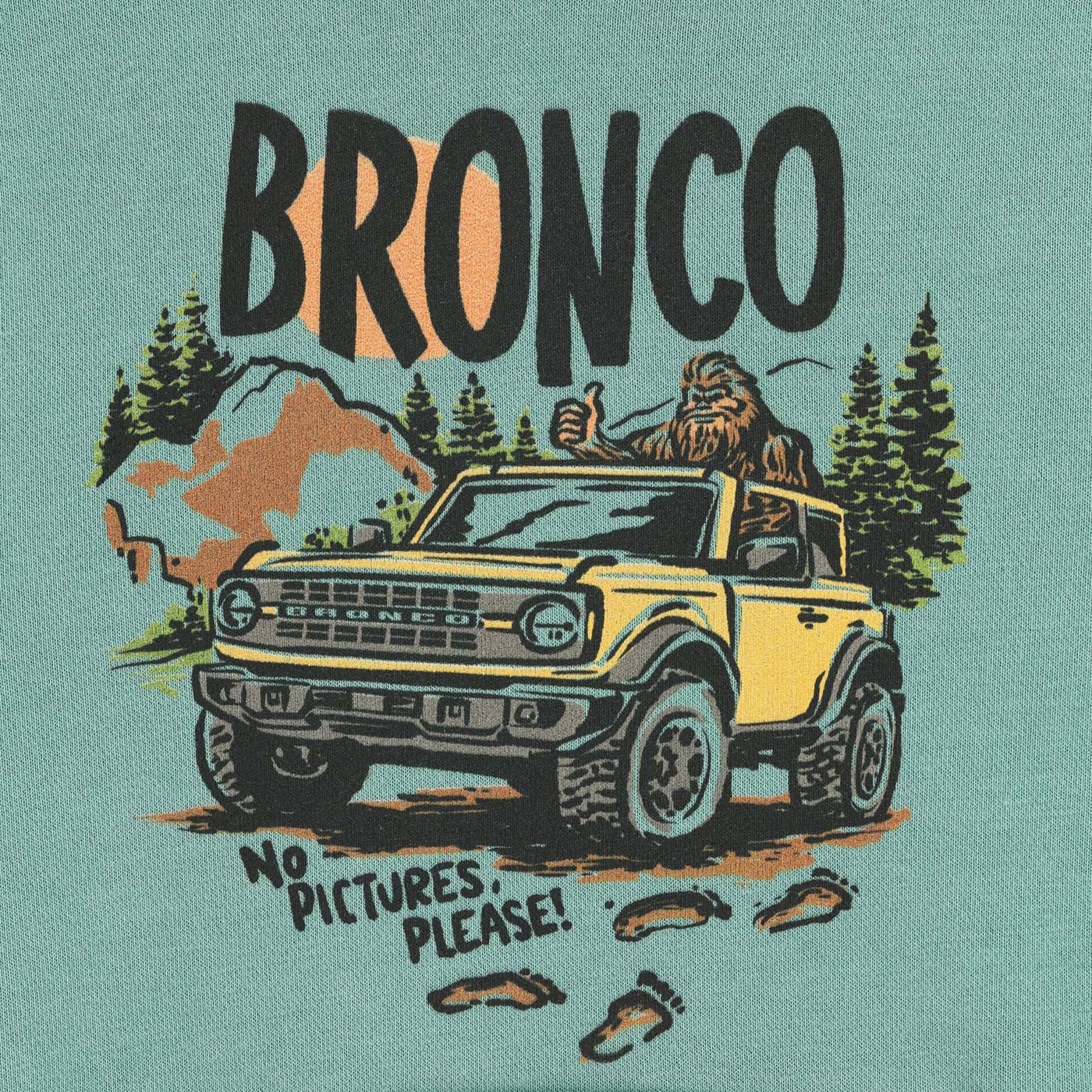 Ford Bronco Sasquatch No Pictures Please Youth Hoodie - Image 3